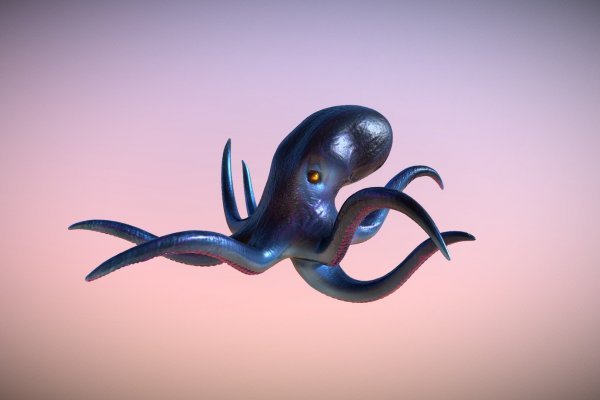 Kraken рабочее зеркало на сегодня