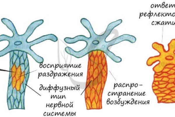 Адрес сайта omg omg